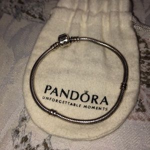 Pandora Charm Bracelet